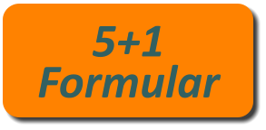 5+1 Formular