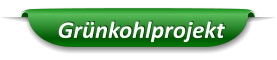Grünkohlprojekt