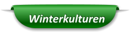 Winterkulturen