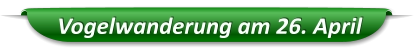 Vogelwanderung am 26. April
