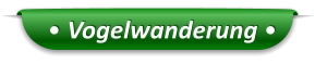 • Vogelwanderung •