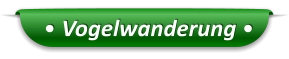• Vogelwanderung •