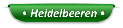 • Heidelbeeren •