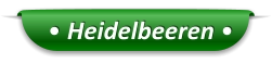 • Heidelbeeren •